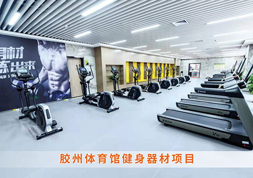 ?leyu.樂魚體育為膠州體育館打造的健身房
